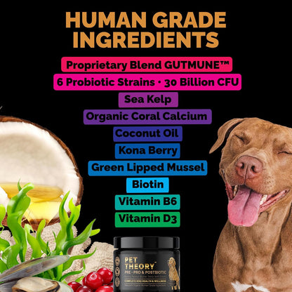 Pet Theory Probiotics for Dogs – Pre, Pro & Postbiotic Soft Chews for Digestive Health and Immune Support (100 Chews)