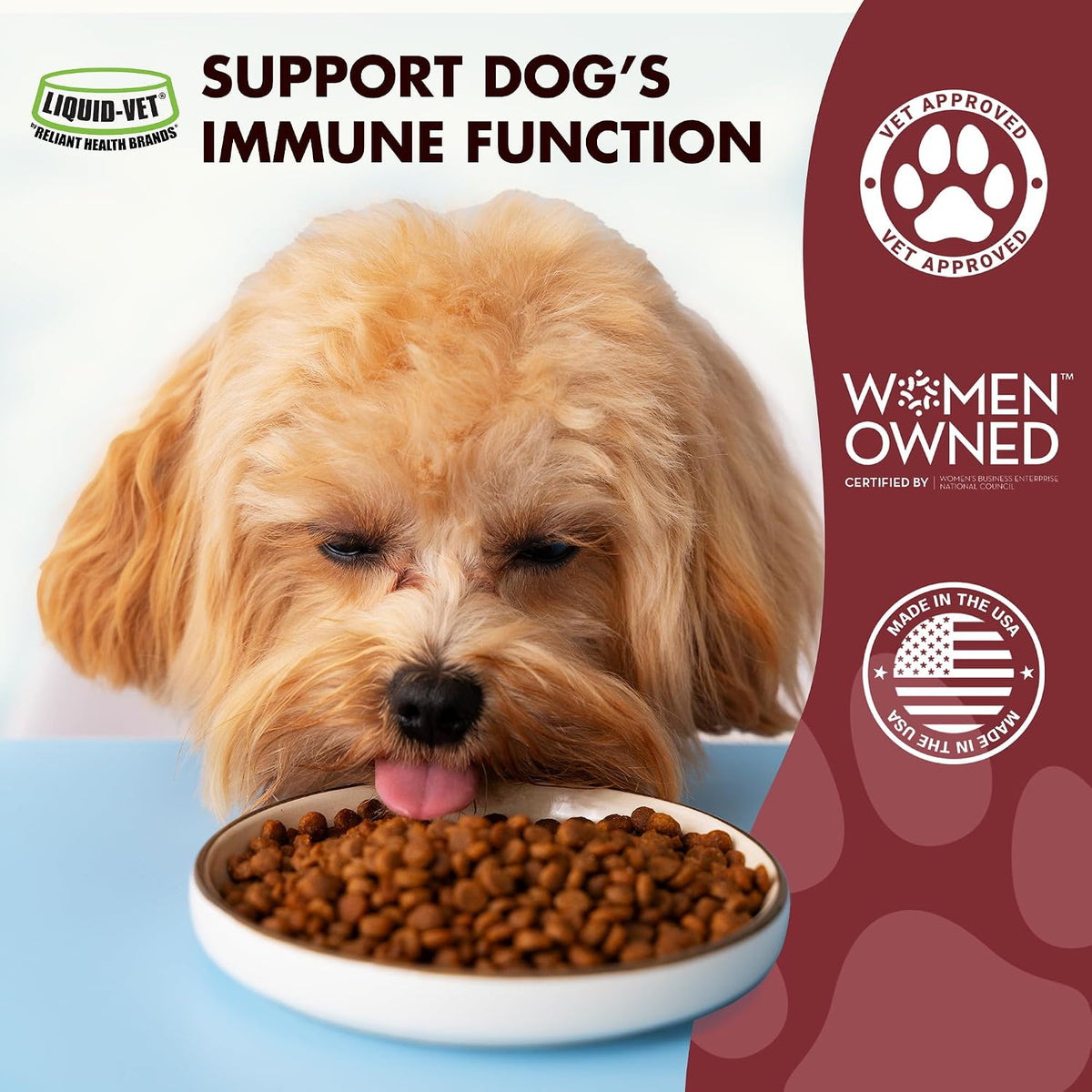 Liquid-Vet Immune Support for Dogs – – Omega-3s (Fish Oil) : Essential fatty acids that promote a healthy – Image 3