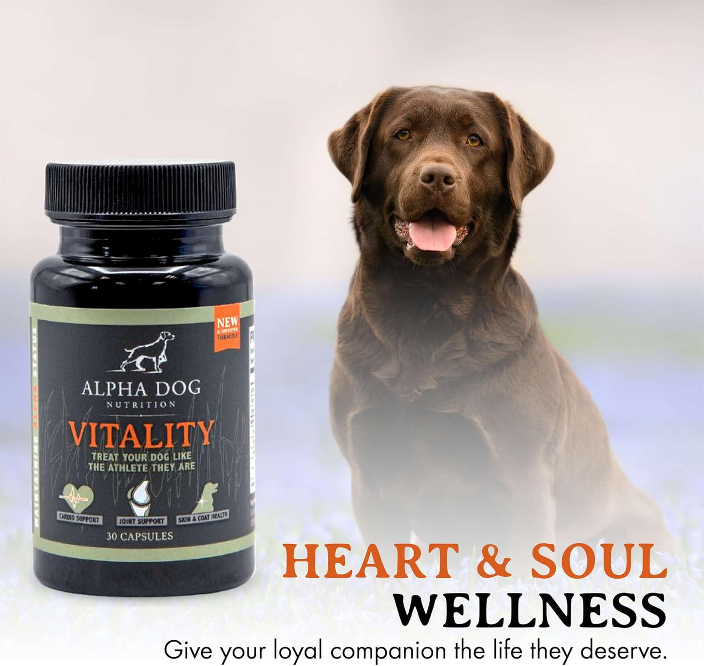 Krill Oil for Dogs – Vitality from Alpha Dog Nutrition - görsel 5