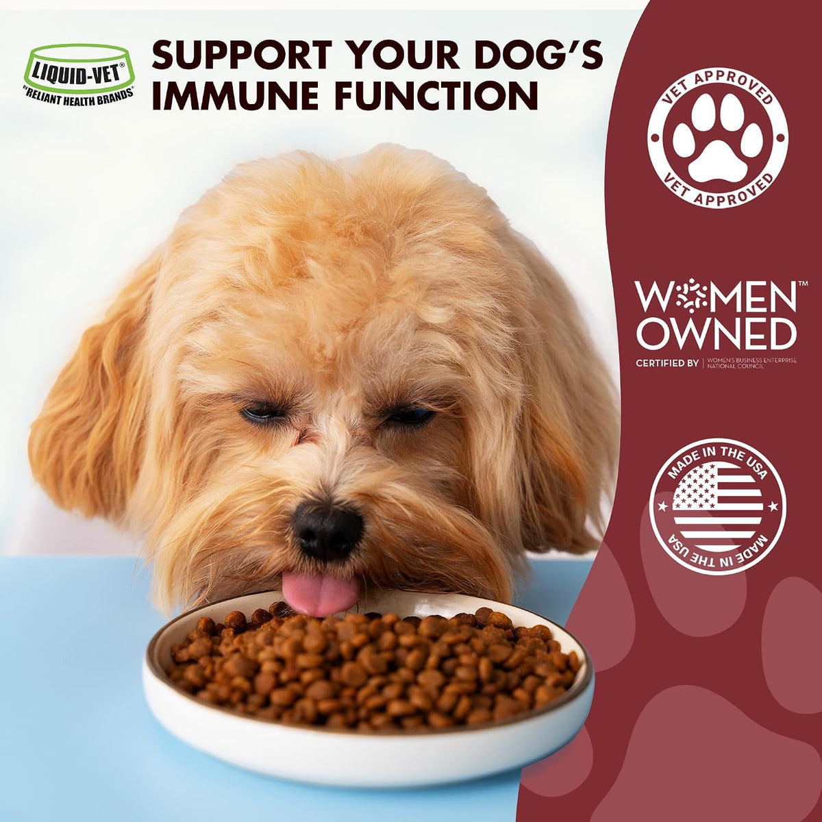 Liquid-Vet Immune Support for Dogs – – Targeted Benefits: Older or stressed dogs may need extra immune support. – Image 3