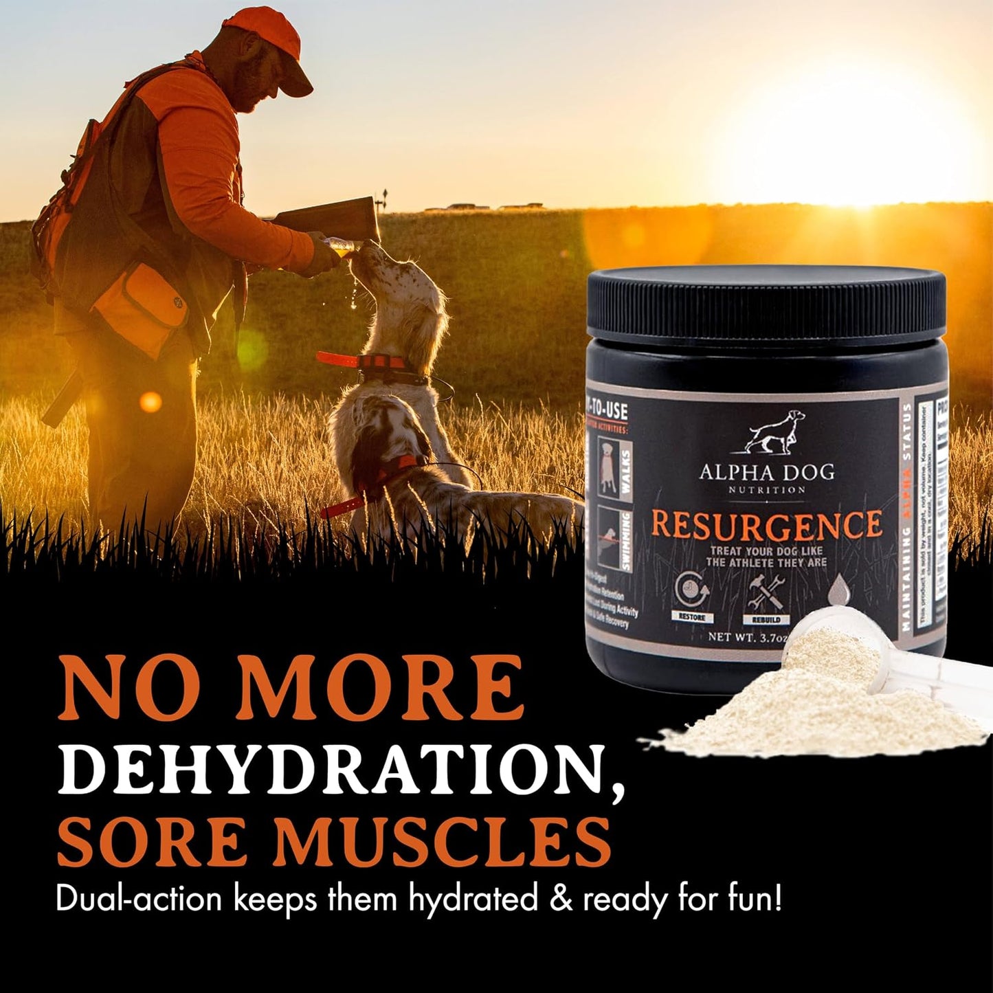Alpha Dog Nutrition Electrolytes for Dogs – PhD Formulated Hydration Supplement with Beef Flavour for Active Canines - görsel 7