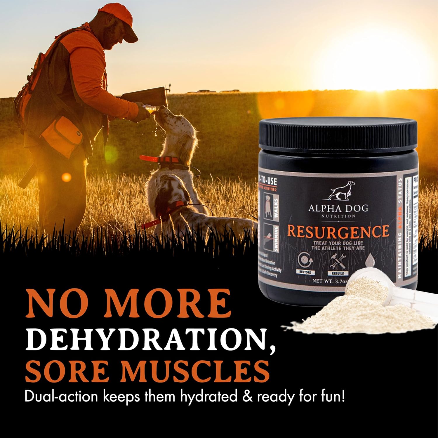Alpha Dog Nutrition Electrolytes for Dogs – PhD Formulated Hydration Supplement with Beef Flavour for Active Canines - görsel 7