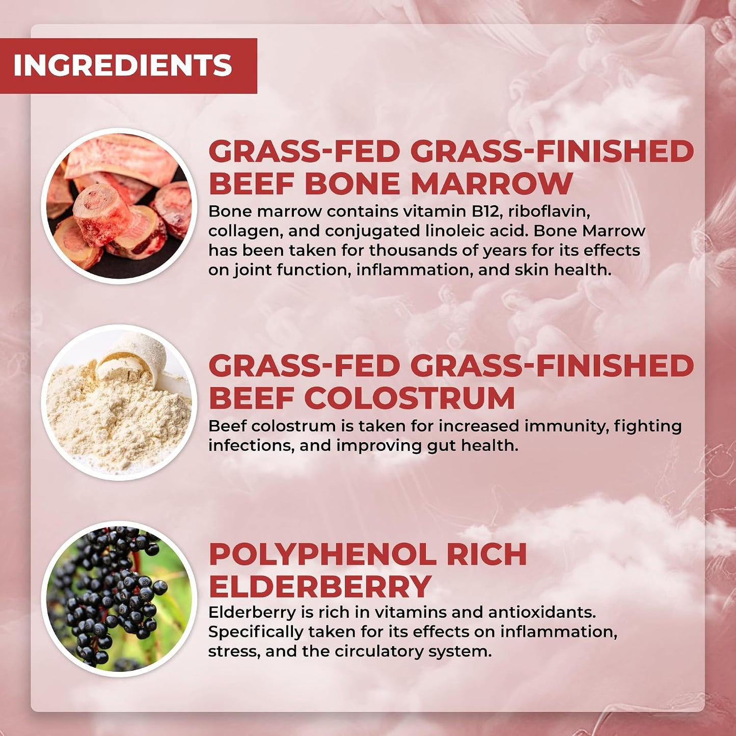 Santa Cruz Paleo Food of the Gods – Grass-Fed Beef Organ Supplement - görsel 2