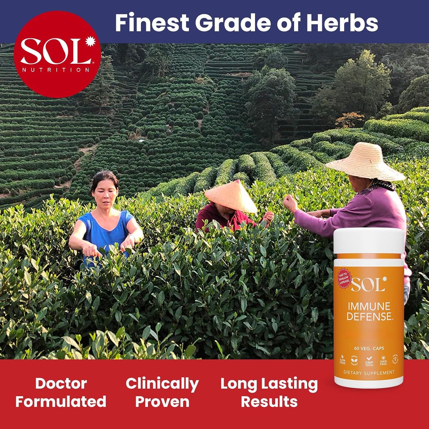 Immune Defence Supplement: Clears Allergens, Builds Strong Immune System, 15X More Powerful, Astragalus, Gotu Kola, Andrographis, 60 Easy to swallow Capsules, SOL Nutrition - görsel 4