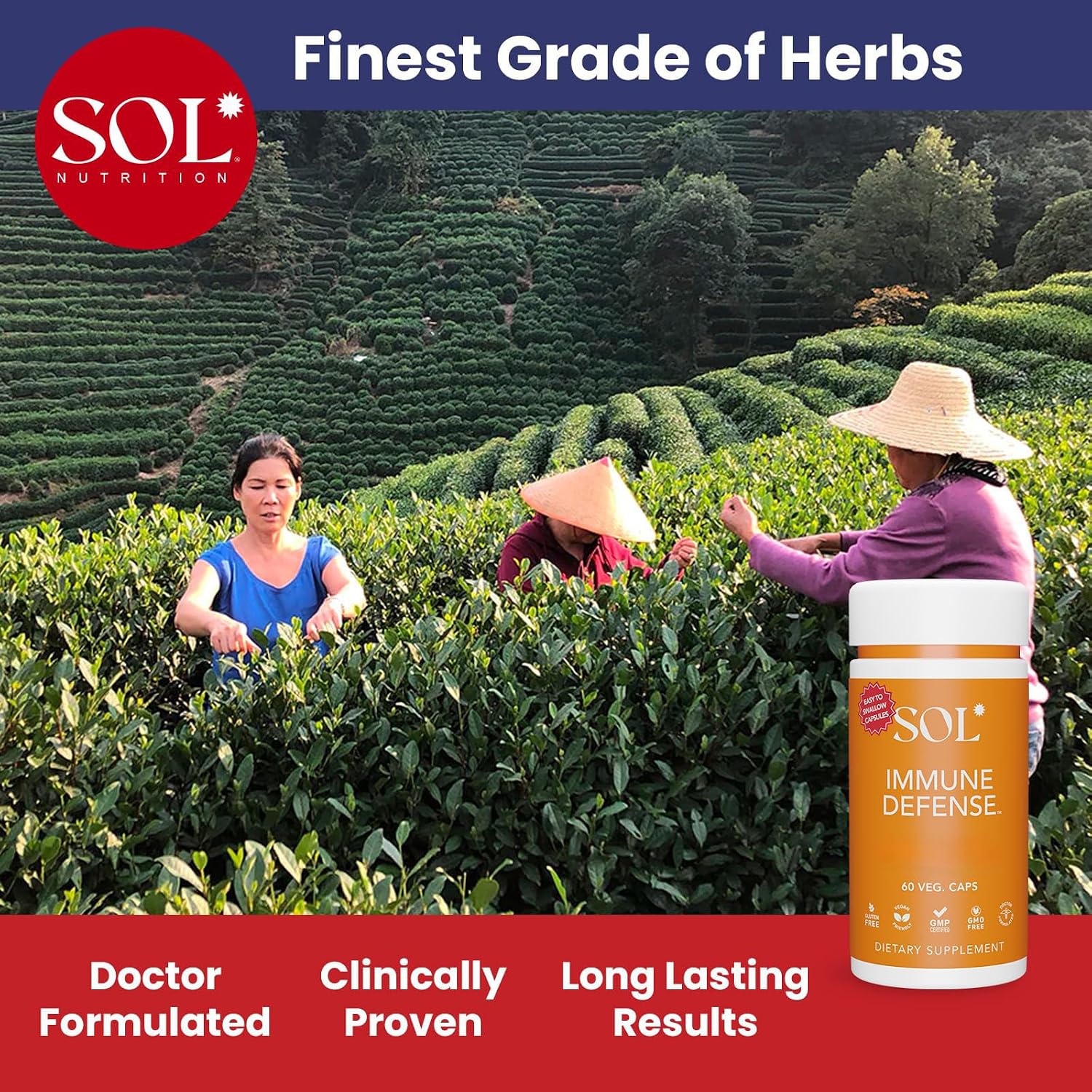 Immune Defence Supplement: Clears Allergens, Builds Strong Immune System, 15X More Powerful, Astragalus, Gotu Kola, Andrographis, 60 Easy to swallow Capsules, SOL Nutrition - görsel 4