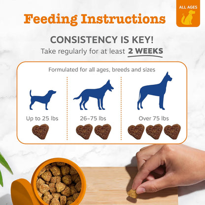 Zesty Paws Multifunctional Bites Dog Multivitamin, Chicken, 90 Chews