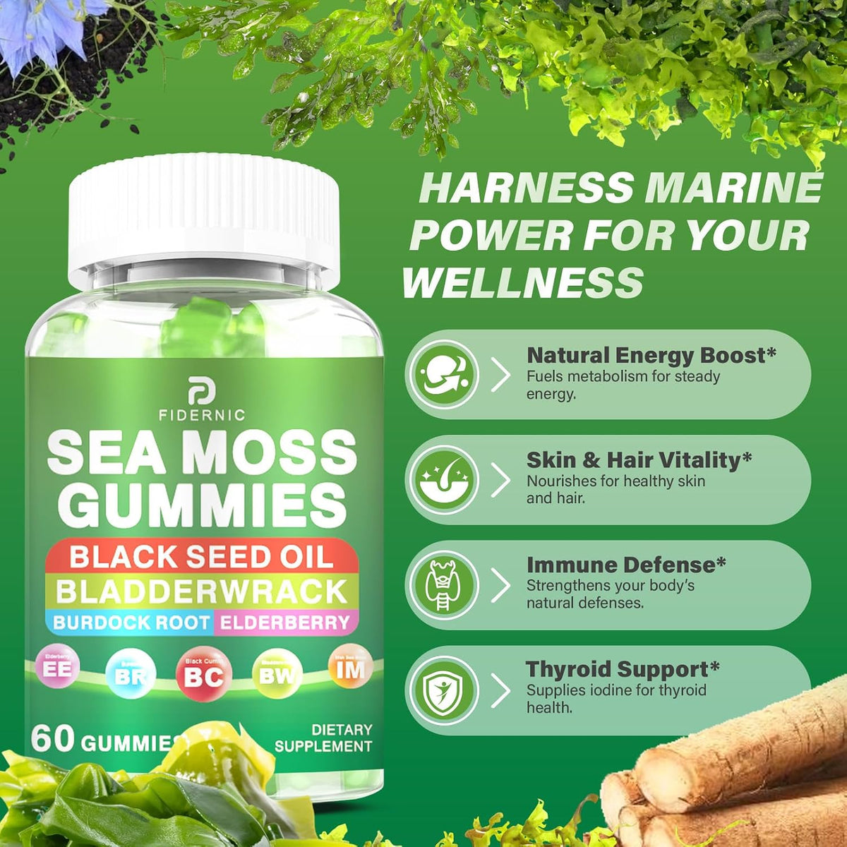 Sea Moss Gummies – Irish Sea Moss with Elderberry & Black Seed Oil, Bladderwrack, Burdock Root – Immune Support – Vegan – Image 3