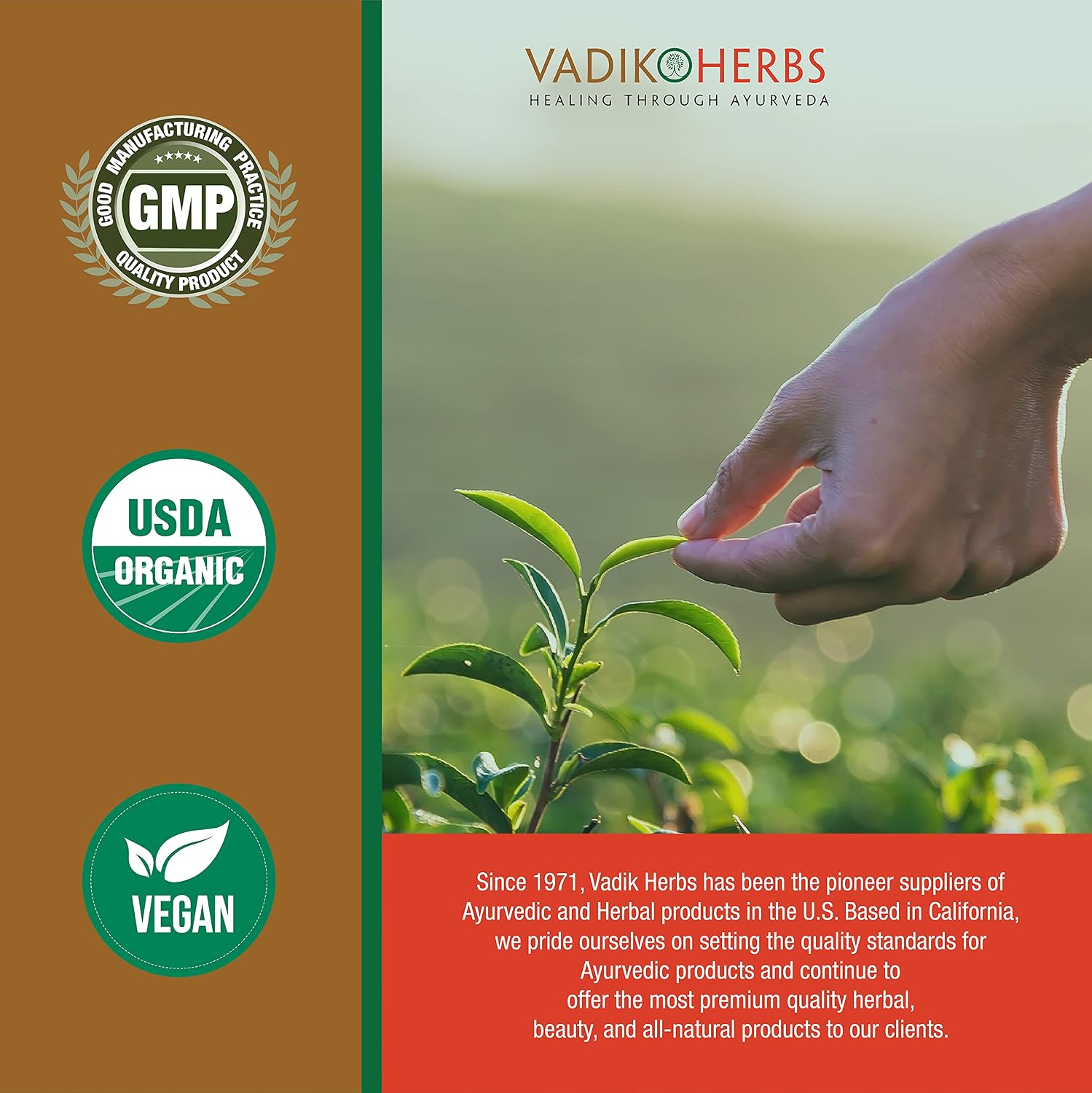 Vadik Herbs Certified Organic Bhumy Amalaki (Phyllanthus amarus) Powder 100 Veg Capsules - görsel 5