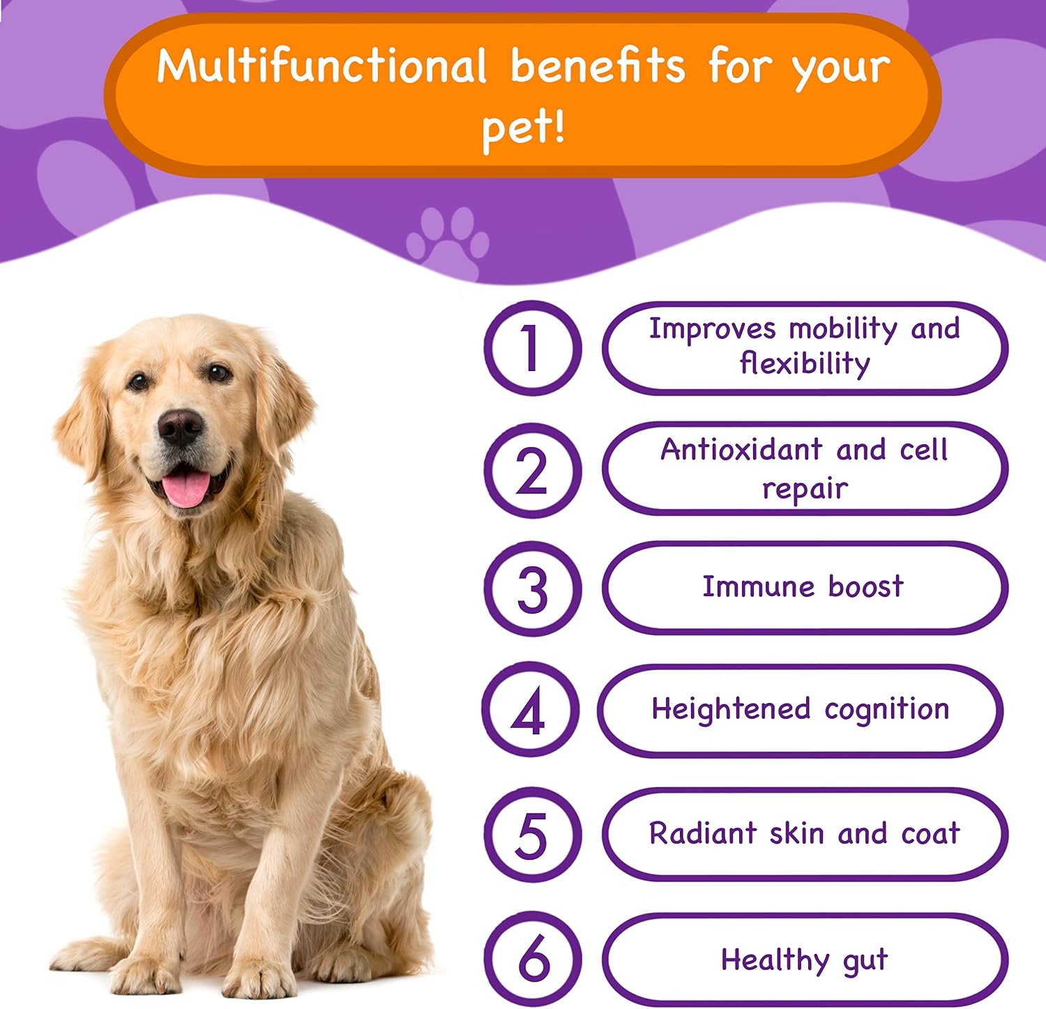 PawPuk Paws Multifunctional Dog Supplements - Silymarin, Glucosamine, MSM, Green Lipped Mussel, Salmon Oil, Probiotics, Co-Q10, NMN - Immune, Joint, Skin & Digestive Support - görsel 2
