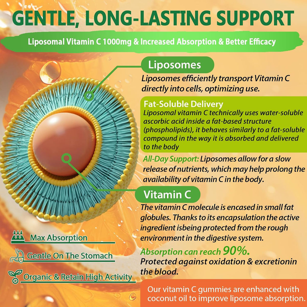 NEVISS Liposomal Vitamin C 1000mg Gummies with Elderberry, Zinc and Iron – Image 4