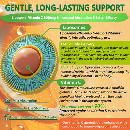 NEVISS Liposomal Vitamin C 1000mg Gummies with Elderberry, Zinc and Iron – Image 4