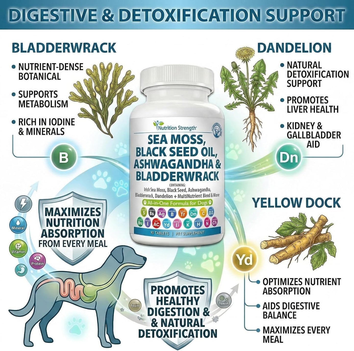 Sea Moss for Dogs - 17-in-1 Immunity, Skin & Coat Support with Black Seed Oil, Ashwagandha & Turmeric for Daily Vitality & Seasonal Allergy Relief - 90 Chewable Tablets - görsel 4