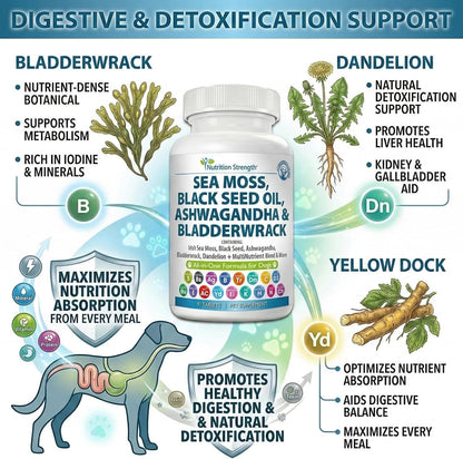 Sea Moss for Dogs - 17-in-1 Immunity, Skin & Coat Support with Black Seed Oil, Ashwagandha & Turmeric for Daily Vitality & Seasonal Allergy Relief - 90 Chewable Tablets