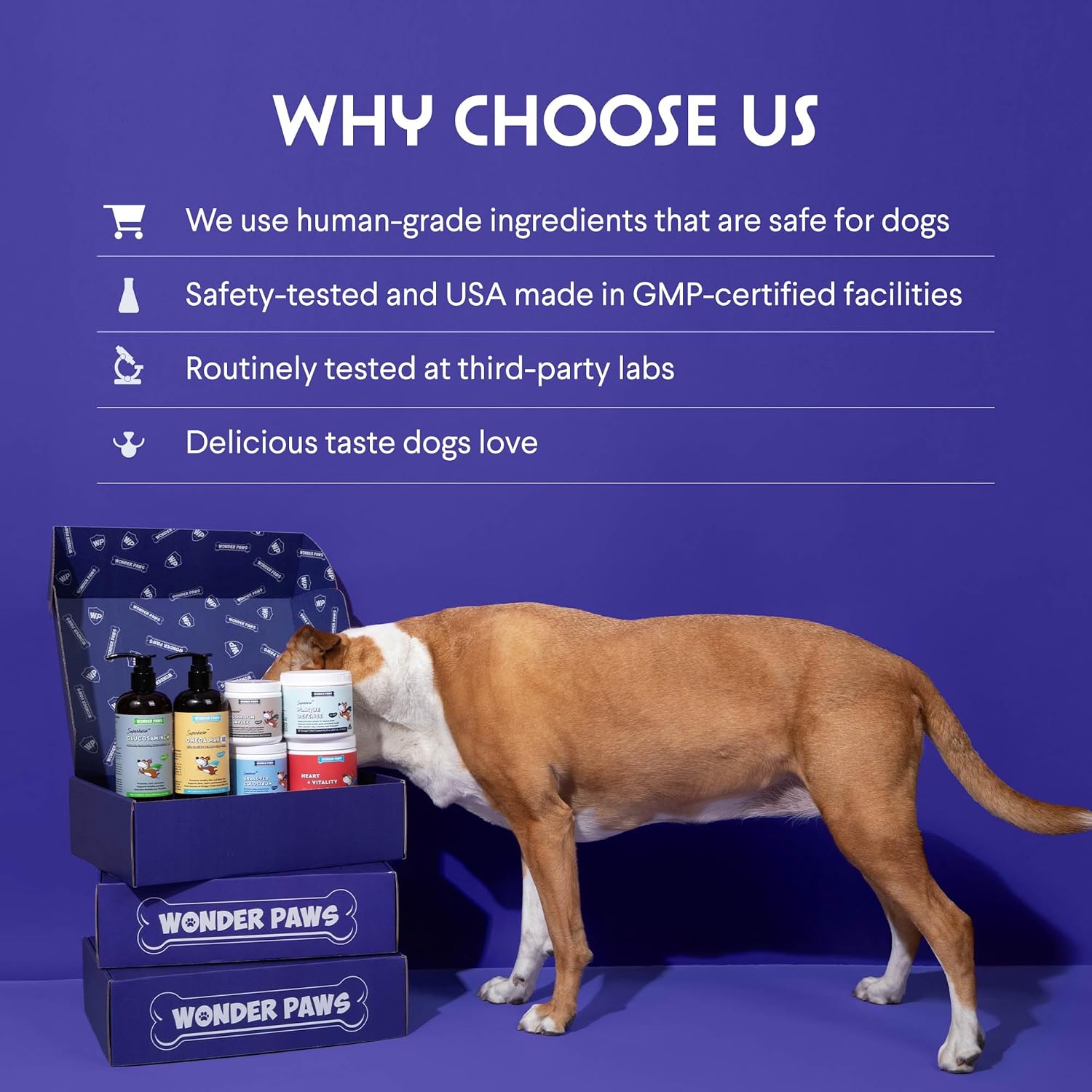 Wonder Paws Premium Multivitamin for Dogs - 21-in-1 Daily Multivitamin Chews (60 Chews) - görsel 6