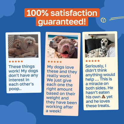 Happy Paws No Poo Chews for Dogs – Coprophagia Deterrent with Probiotics, Pumpkin & Enzymes – Beef Flavour, 200 Count – Image 6