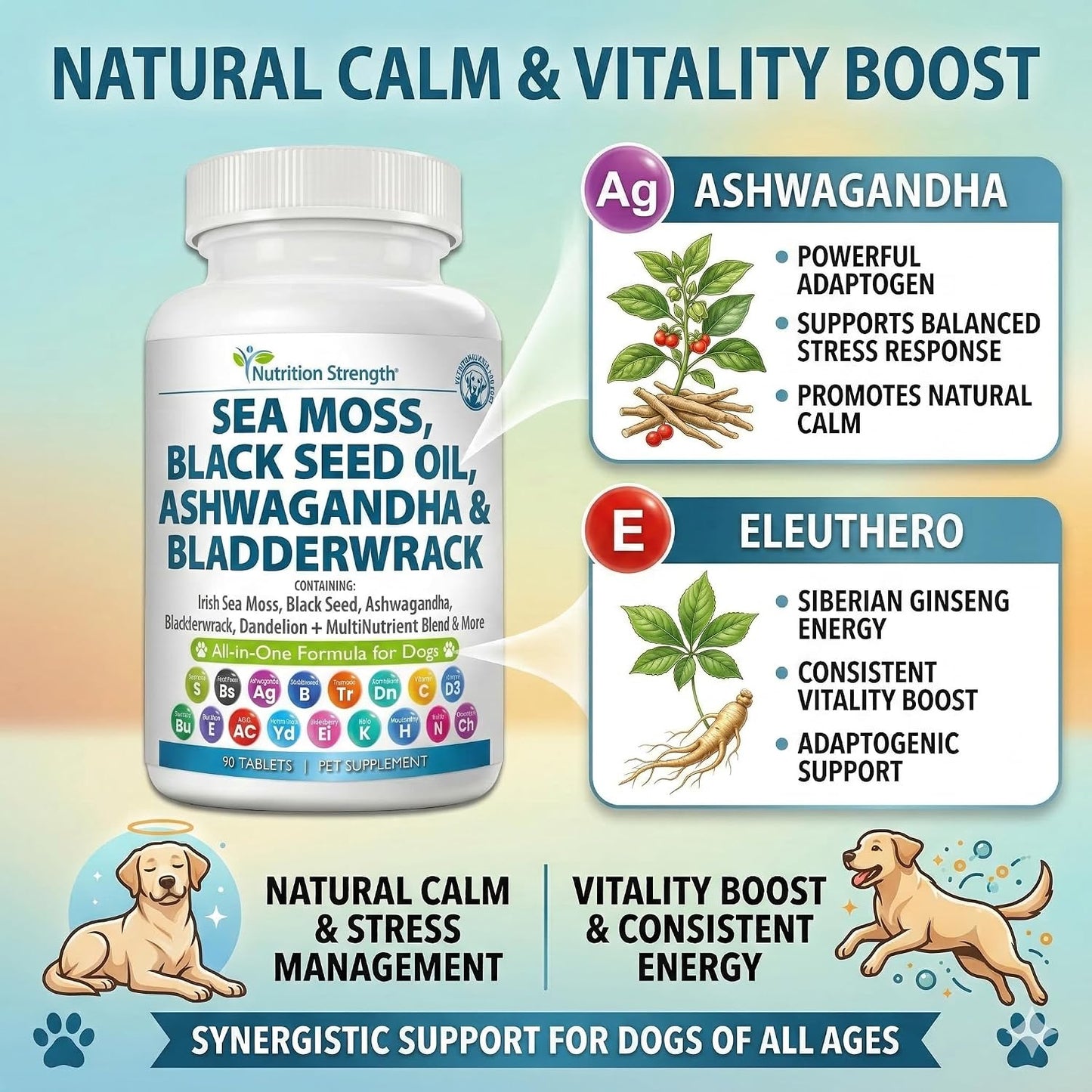 Sea Moss for Dogs - 17-in-1 Immunity, Skin & Coat Support with Black Seed Oil, Ashwagandha & Turmeric for Daily Vitality & Seasonal Allergy Relief - 90 Chewable Tablets - görsel 5