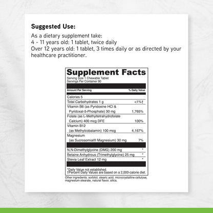 Little DaVinci Focussed Chewable - Supplement to Support Behaviour, Brain Health, and Immune Health for Kids - With Vitamin B6, Folate, Vitamin B12, and More - Orange Flavour - Sugar free - 90 Tablets