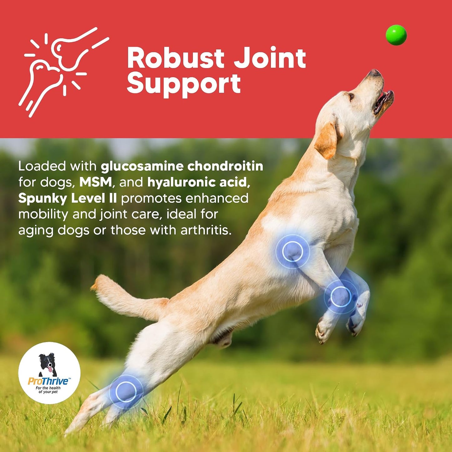 Equerry's Spunky Level II Formulated Probiotics for Dogs 227g - görsel 3