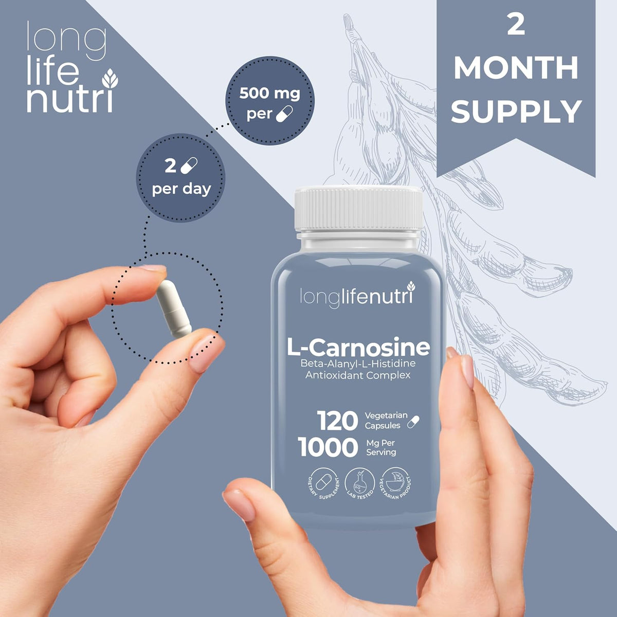 LongLifeNutri L-Carnosine 1000mg – Beta-Alanyl-L-Histidine for Cellular Energy & Brain Clarity, 120 Veg Capsules – Image 5