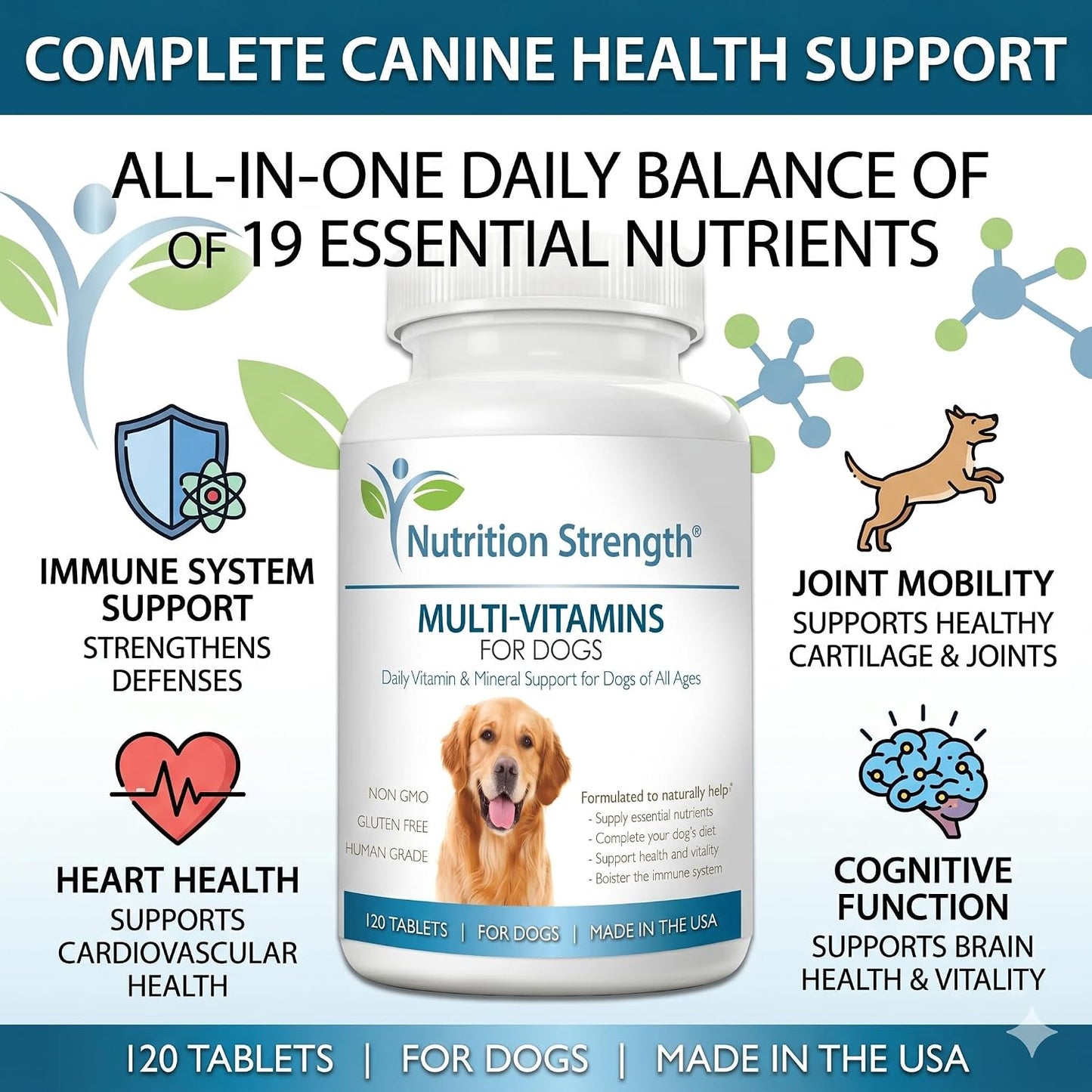 Multivitamins for Dogs, Daily Vitamin and Mineral Support, Nutritional Dog Supplements for All Canine Breeds and Sizes, Promotes Immune Health in Pets, 120 Chewable Tablets - görsel 2