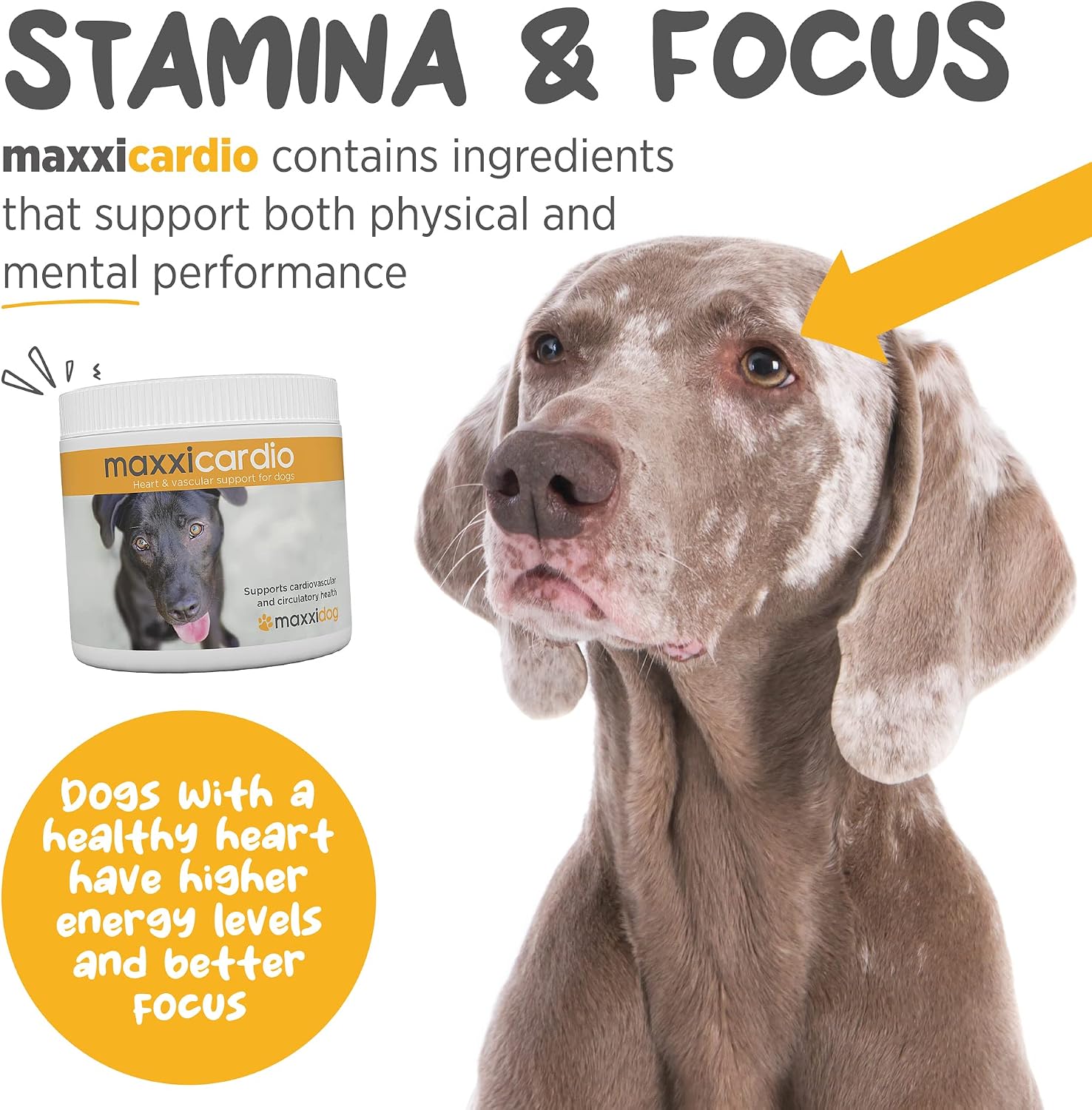 maxxicardio Heart Support for Dogs (Small Size) – Taurine + L-Carnitine + Hawthorn + Ginkgo – Helps Support Circulation, Energy & Stamina – Easy Mix Powder – Made in USA – 91 g - görsel 4
