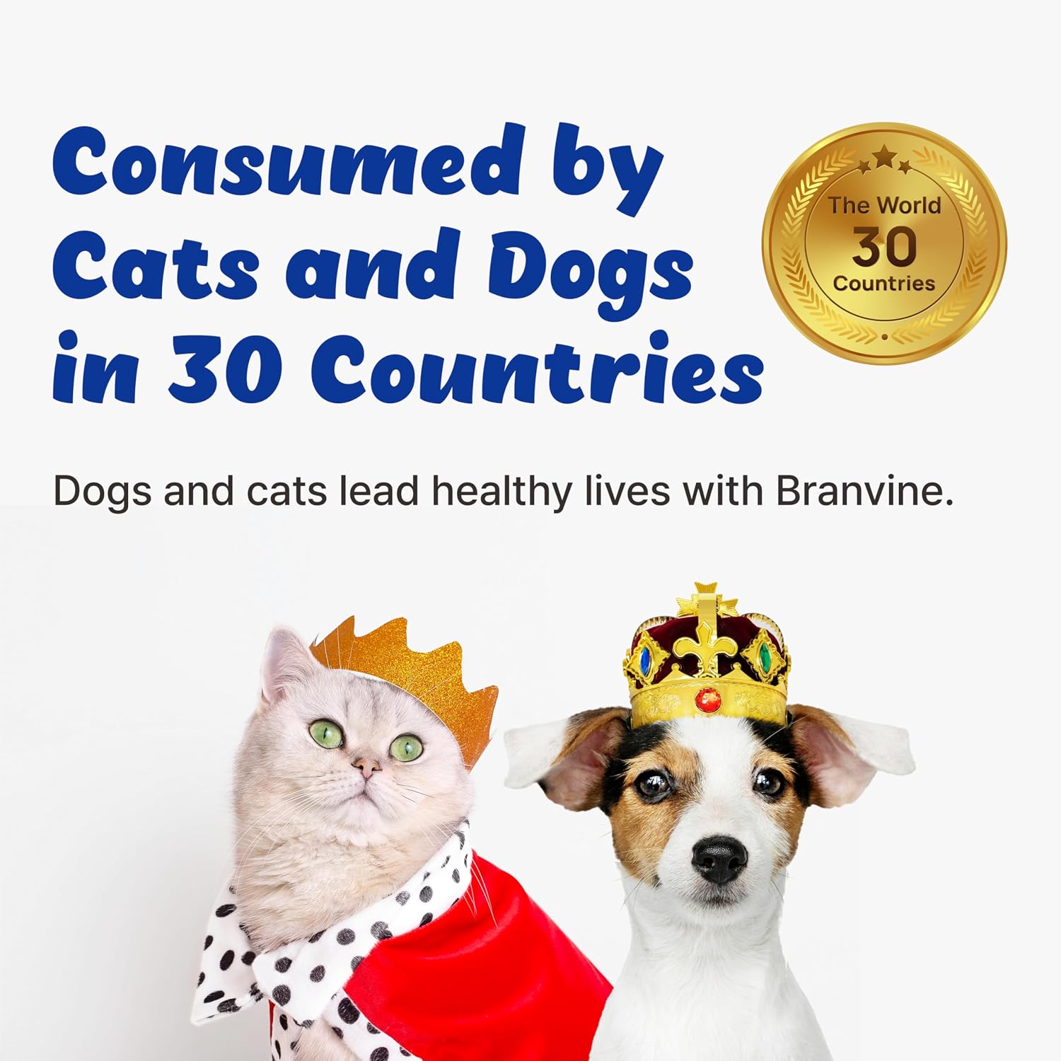 Branvine Probiotics Liquid for Cats and Dogs - 6 Strains with Prebiotics and Dry Yeast (60 ml) - görsel 7