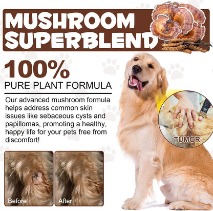 Mushroom Supplement Powder for Dogs & Cats - – Overall Vitality: The antioxidant properties of mushrooms may help – Image 4