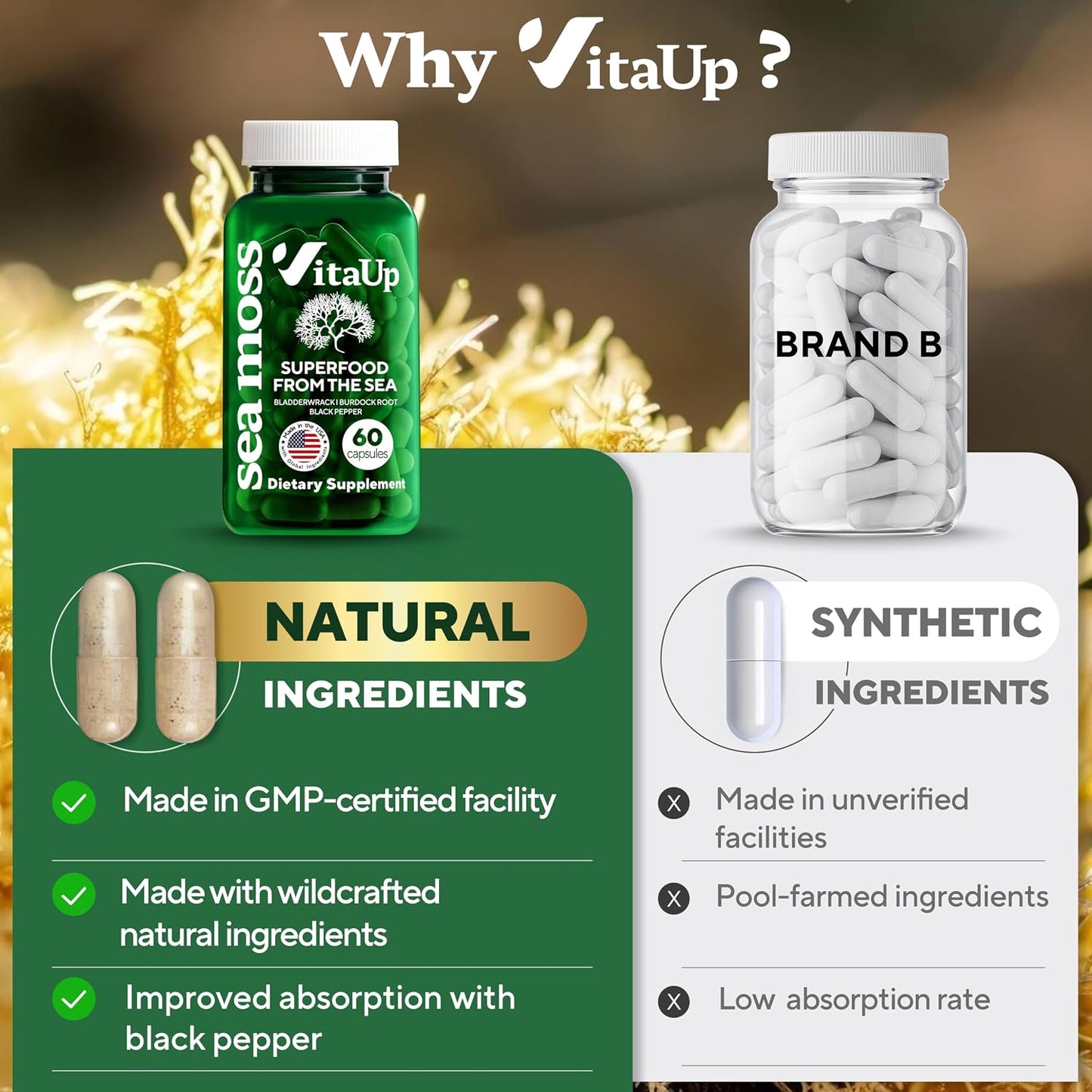VitaUp Wildcrafted Irish Sea Moss Capsules with Burdock Root & Bladderwrack - 60 Vegan Capsules - görsel 5
