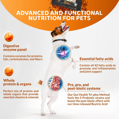 Origins 5-in-1 Dog Supplement - Powdered Food Topper with Natural Omega 3 Fish Oil (2.27 kg)