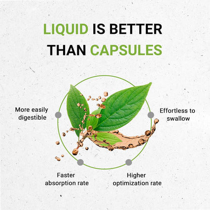 Secrets of the Tribe Wild Lettuce USDA Organic Alcohol-Free Extract, High-Potency Herbal Drops - 118 ml