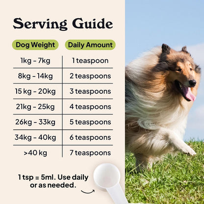 Barsk Wild Alaskan Fish Oil for Dogs & Cats – Skin and Coat Health: Omega-3 fatty acids nourish the skin barrier, – Image 6