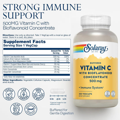 SOLARAY Buffered Vitamin C 500mg - with Bioflavonoids, Rose Hips & Acerola Cherry - Immune Support, Vegan