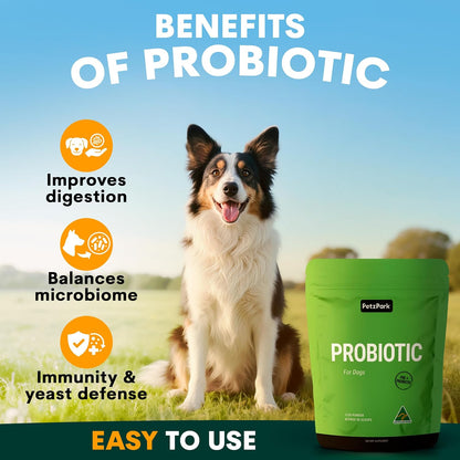 Petz Park Dog Probiotic Powder - 45 Scoops - Gut Health & Digestive Support for Dogs