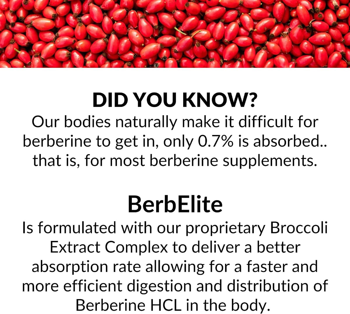 Mara Labs BerbElite | 350mg Berberine HCL & Broccoli Seed Complex for Enhanced Bioavailability | 30 Vegan Capsules – Image 4