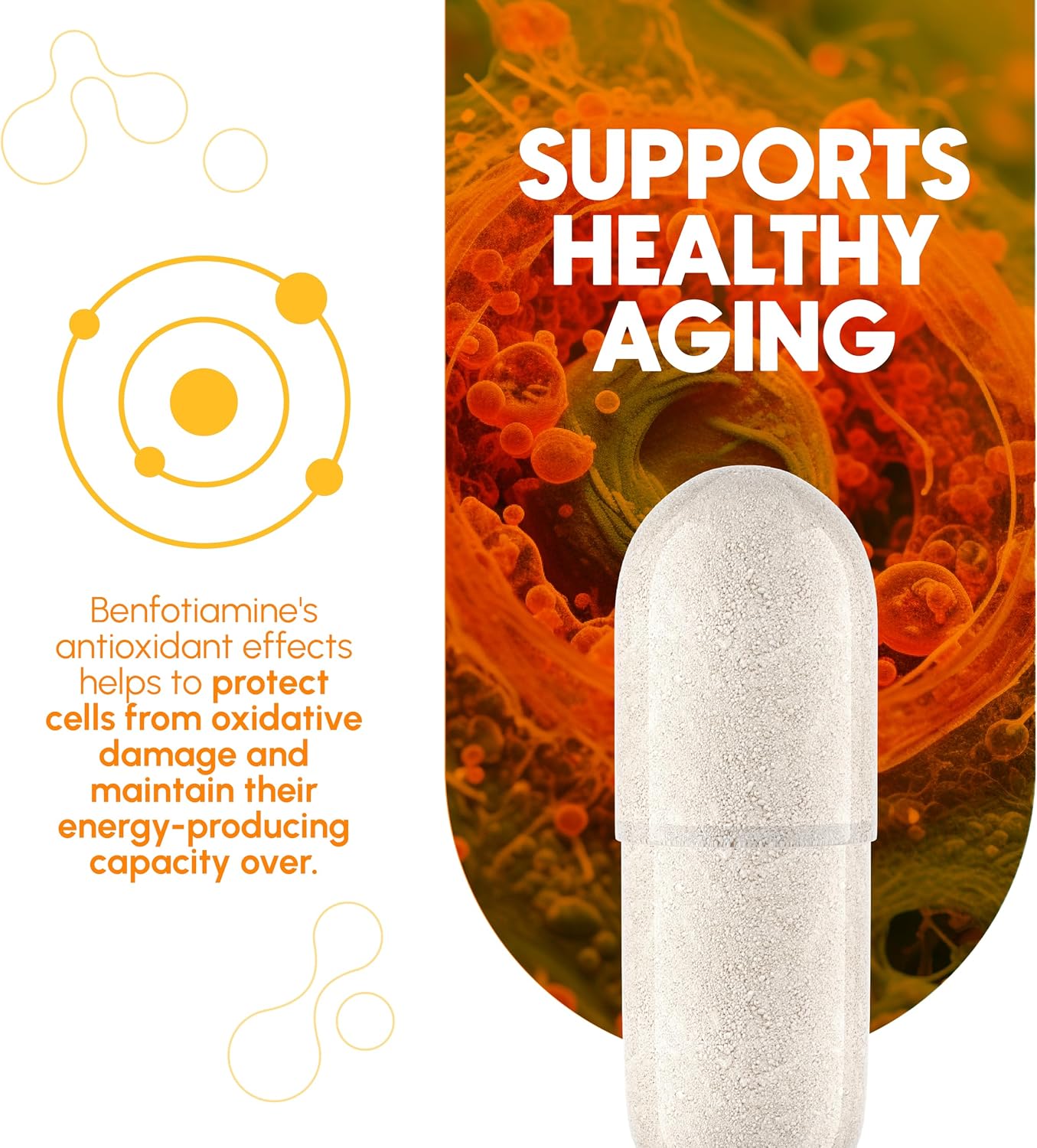 Zenavea Benfotiamine 300 mg, 180 Vegan Capsules (3-Month Supply) - görsel 6