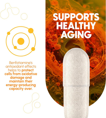 Zenavea Benfotiamine 300 mg, 180 Vegan Capsules (3-Month Supply)