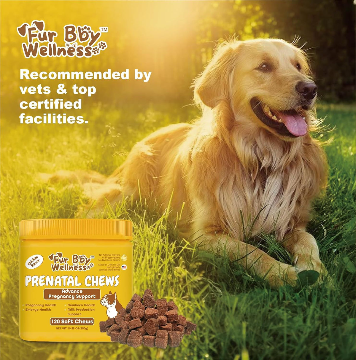 Dog Prenatal Vitamins for Pregnant & Nursing – Helps regulate muscle and nerve function: Magnesium and potassium – Image 6