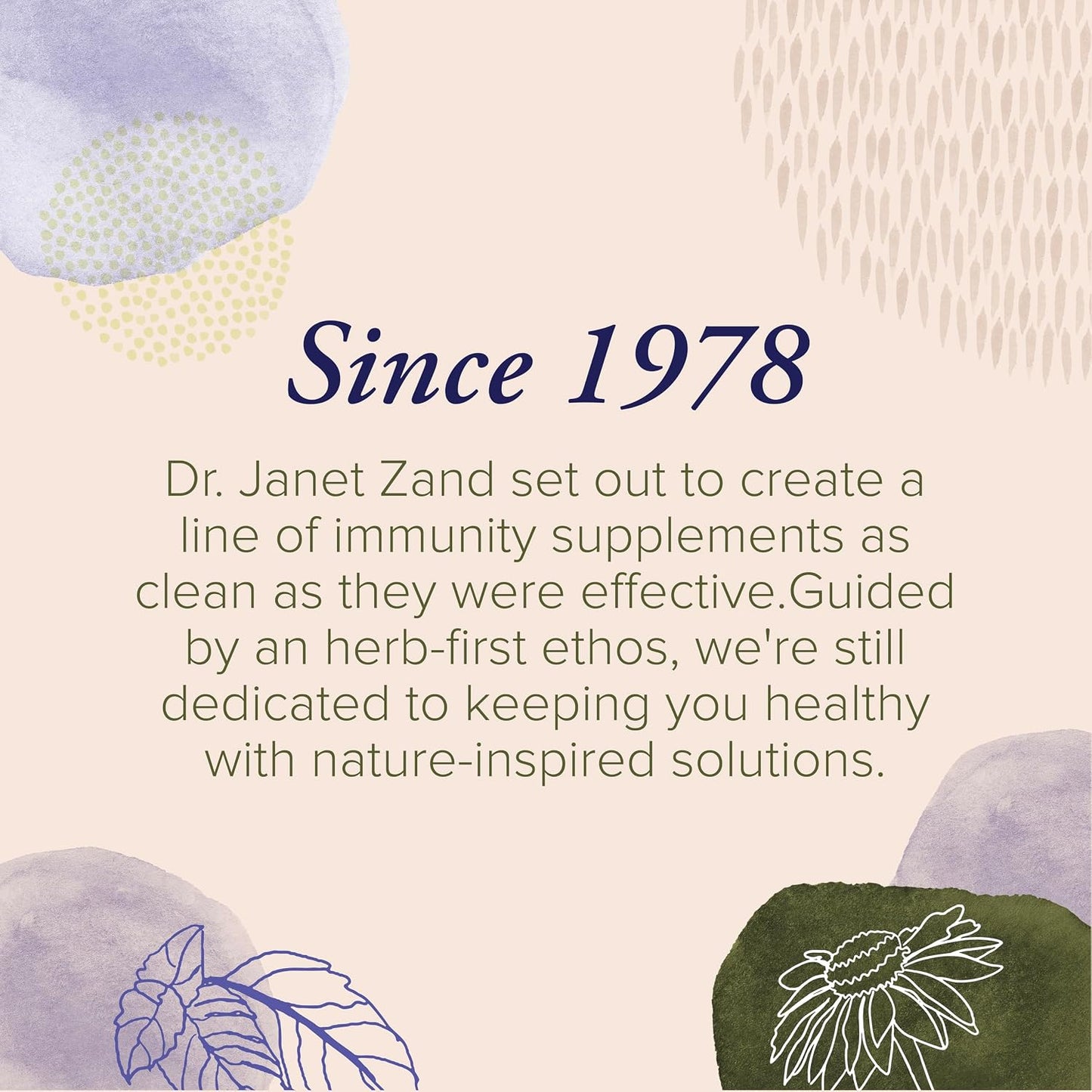 Zand Insure Herbal Immune Support - Vitamin C, Zinc, Echinacea, Elderberry & Ginger - 120 Veg Caps - görsel 6