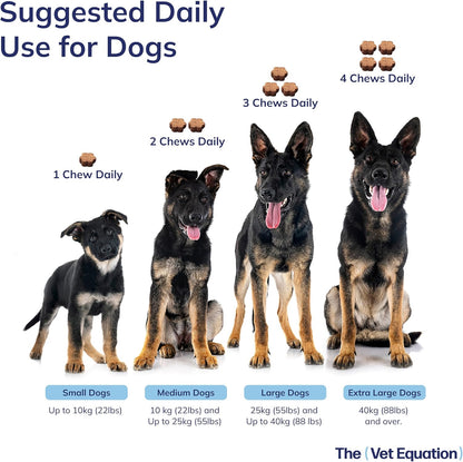 Prebiotic & Probiotic Dog Chews with – CFU Count: 1 billion CFU per chew is ideal for daily maintenance and – Image 5