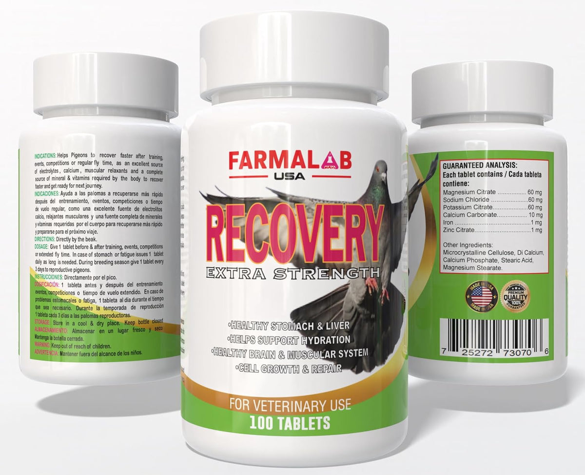 B12-5500 Para Palomas, Pigeon Vitamin – Promotes red blood cell production – Image 8
