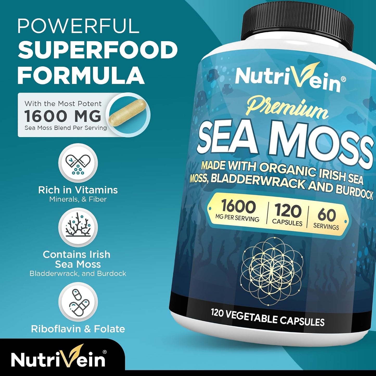 Nutrivein Organic Sea Moss 1600mg Plus Bladderwrack & Burdock - 120 Capsules - görsel 3