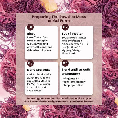 Herb To Body Purple Sea Moss – 4oz, Wildcrafted from Saint Lucia, Raw & Dried