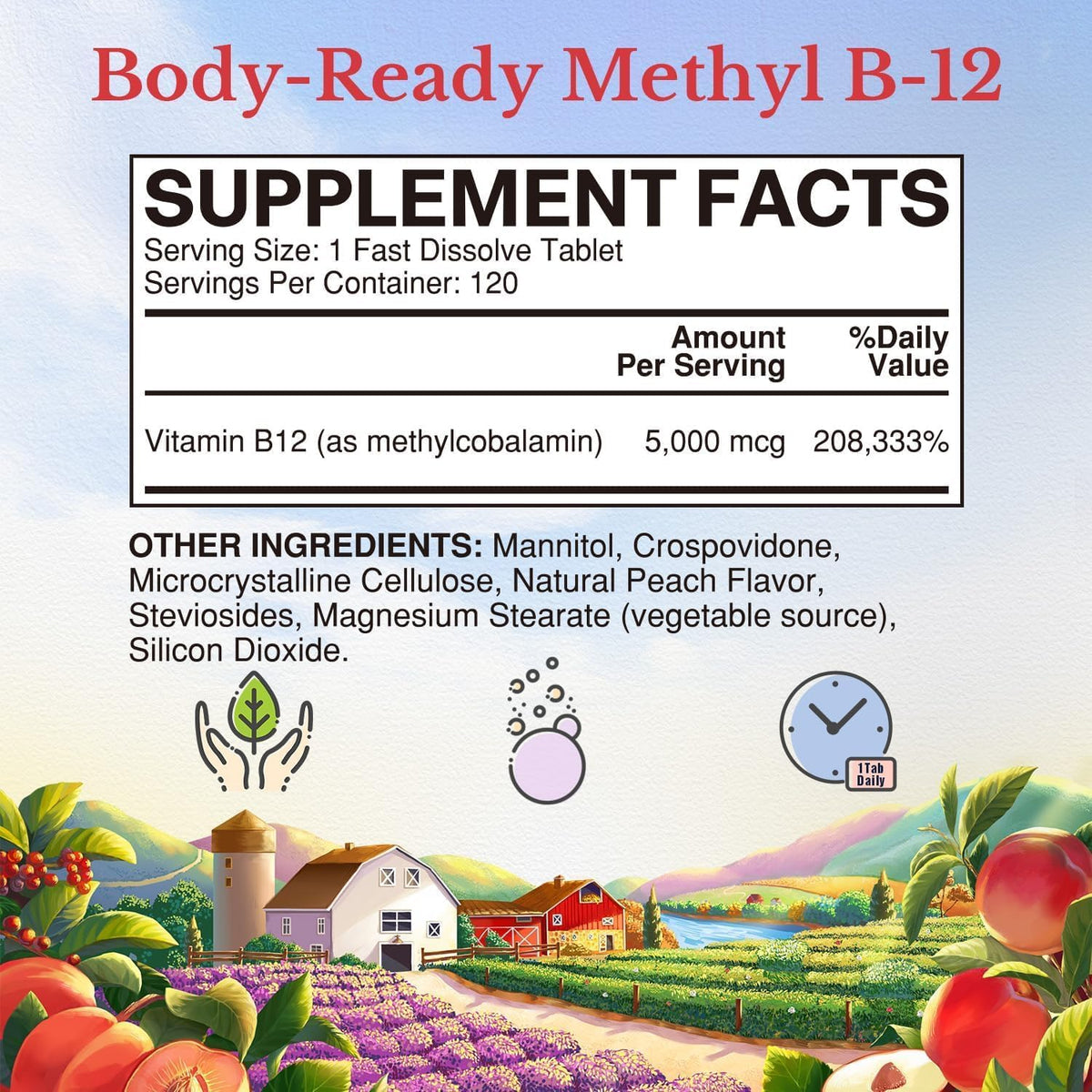 Vitalitown Vitamin B12 (Methyl B12) 5000 – Nervous System Health: B12 is essential for maintaining myelin, the – Image 2