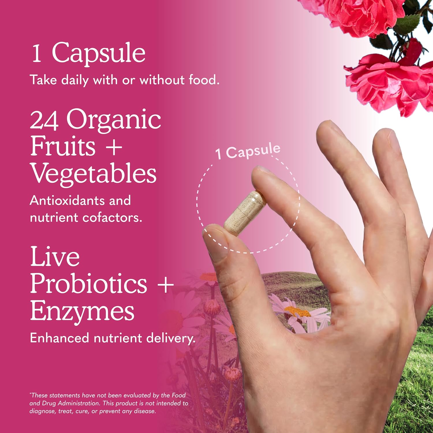 Garden of Life Vitamin Code RAW ONE for Women Once Daily Whole Food Multivitamin with Probiotics, 75 Capsules - görsel 5