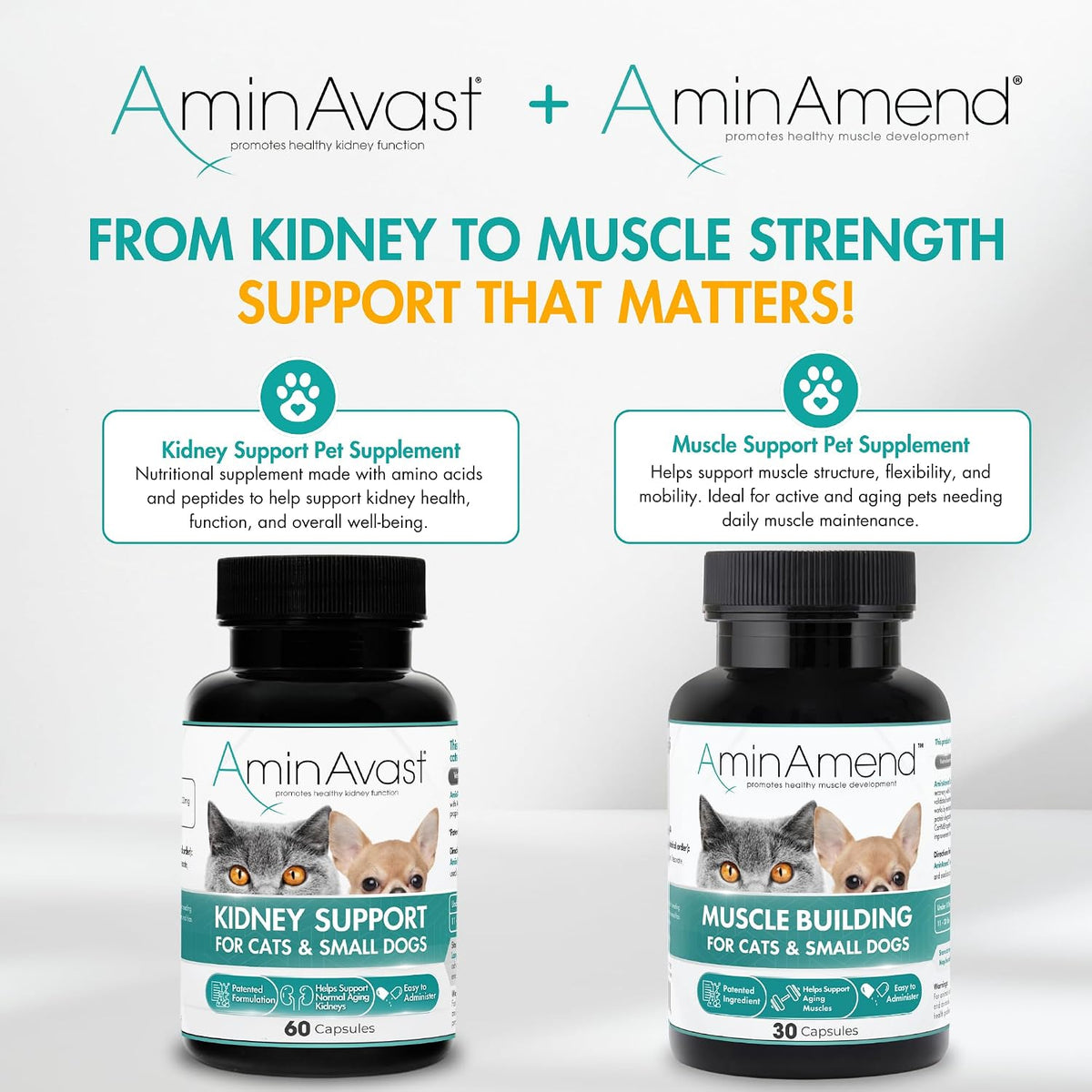 AminAmend Muscle Support Pet Supplement for Small Dogs and Cats with CaHMB and Vitamin D3 – 30 Capsules – Image 8