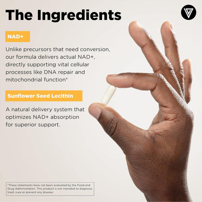 Vital Vitamins NAD+ Supplement - 500mg – NAD+ (Nicotinamide Adenine Dinucleotide): 500mg per serving of pure NAD+ – Image 5