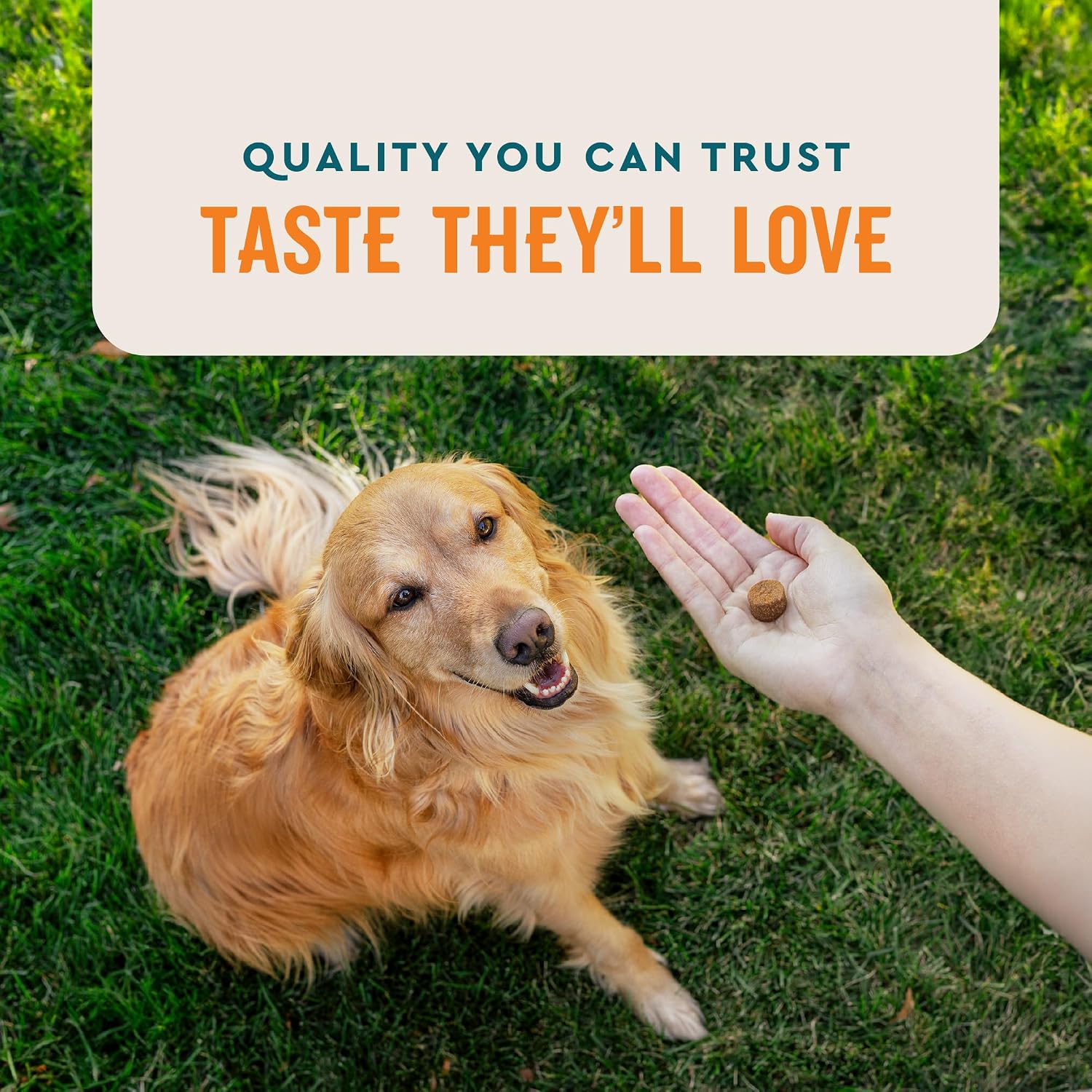 VetIQ Skin and Coat Supplement for Dogs, Helps Maintain Healthy Skin and Shiny Coat, Hickory Smoke Flavour Dog Chew, Made in the USA, 60 Count - görsel 5