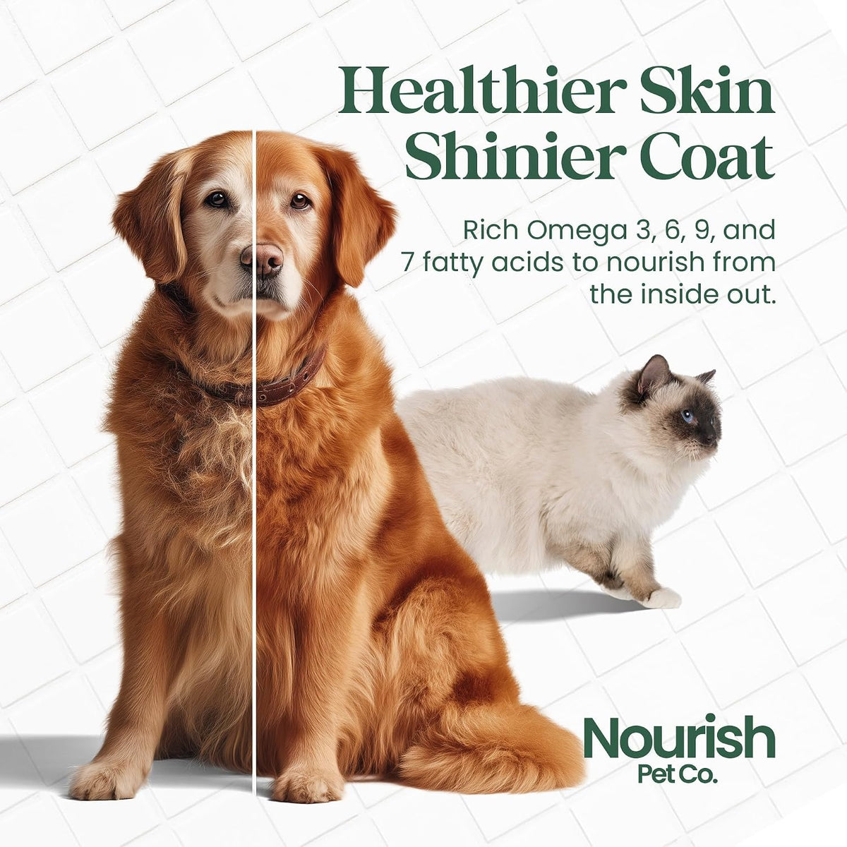 Nourish Pet Co. Phytoplankton Omega & – Vitality and Energy: With a full spectrum of amino acids and vitamins, – Image 4