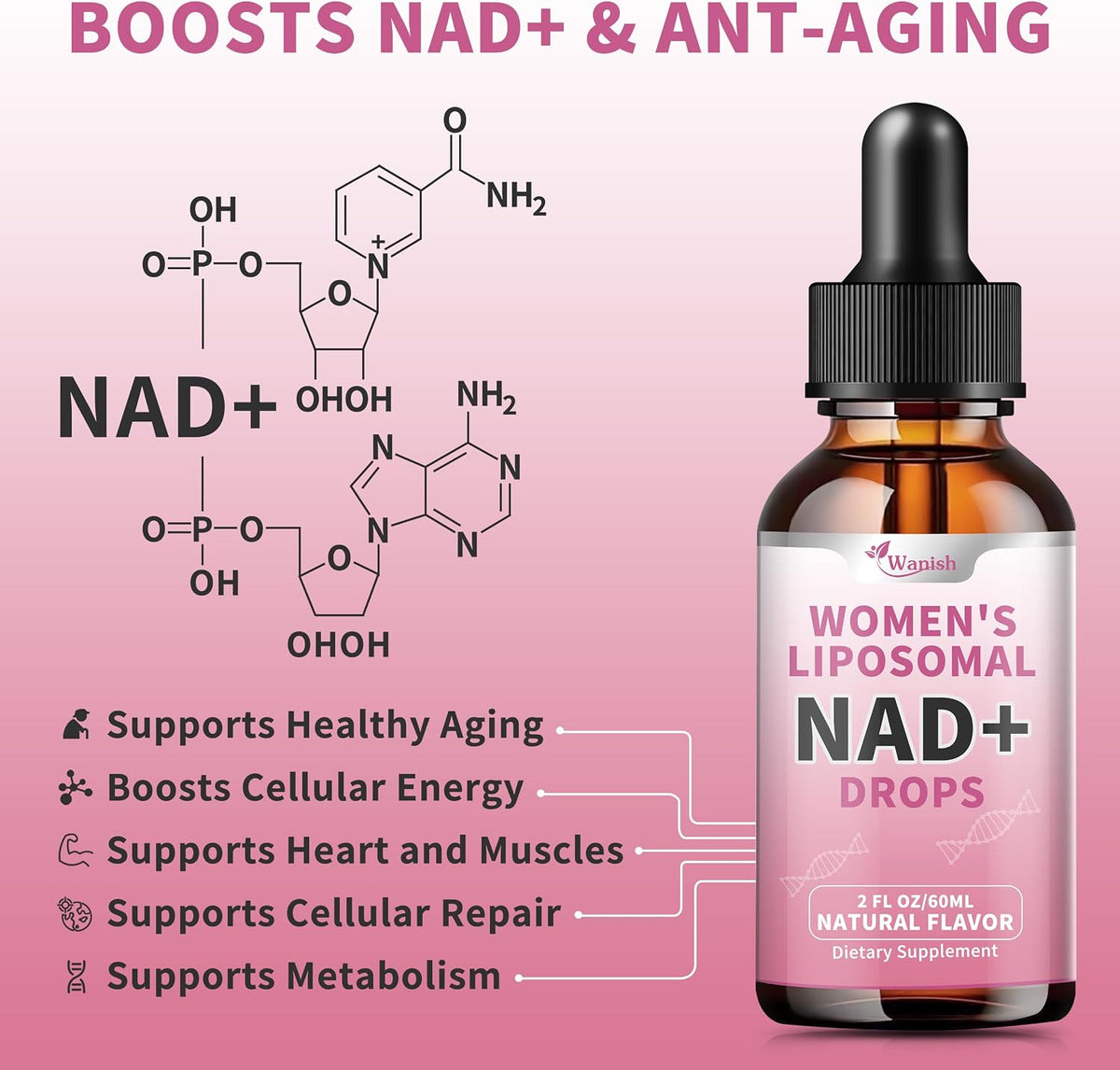 Wanish Liposomal NAD Liquid Supplement – – Promote healthy ageing: By supporting mitochondrial function and – Image 2