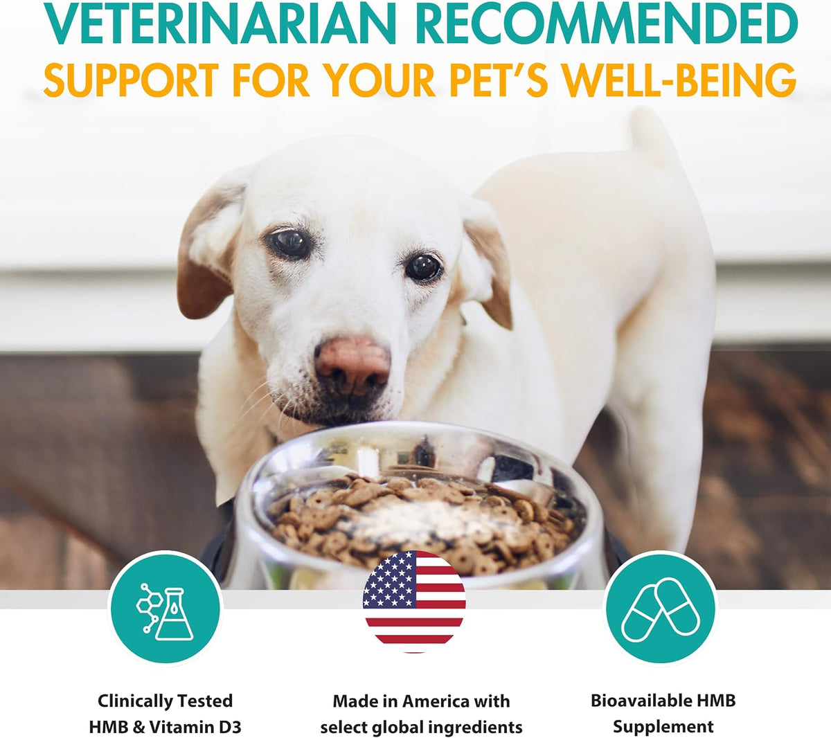 AminAmend Dog Muscle Supplement for Large Breeds – CaHMB & Vitamin D3 (30 Count) – Image 4